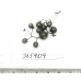 Click for 1 image(s) for this accession. FRUIT